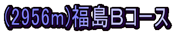 (2956m)福島Bコース